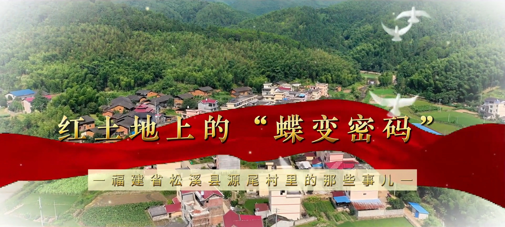 松溪县花桥乡源尾村——红土地上的“蝶变”密码